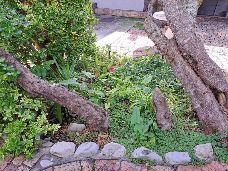 6 Bedroom Property for Sale in Kleinbaai Western Cape